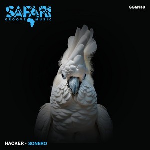 Sonero - Original Mix